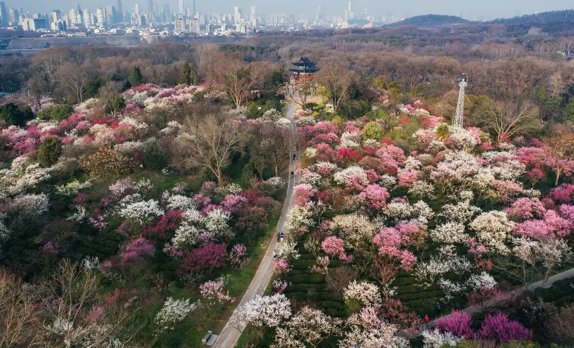 Các khách sạn gần Zhongshan Scenic Spot