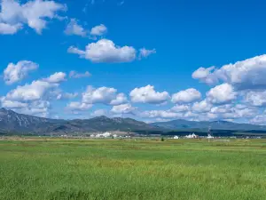 측륵천 초원