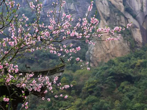 徽杭古道