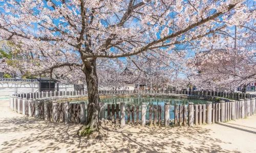 Shitenno-ji