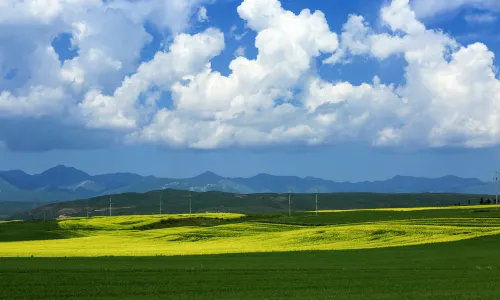 Zhaosu Grassland