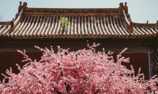 Mt Cangyan Scenic Area