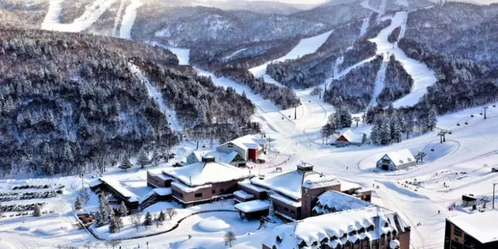 Kiroro Snow World image 0