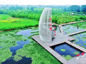 Weishan Lake National Wetland Scenic Area