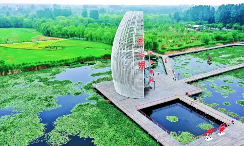 Weishan Lake National Wetland Scenic Area