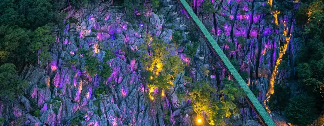 Night Attractions