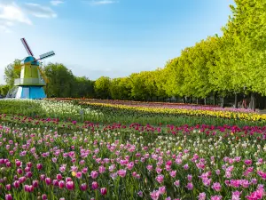 Beijing International Flower Port