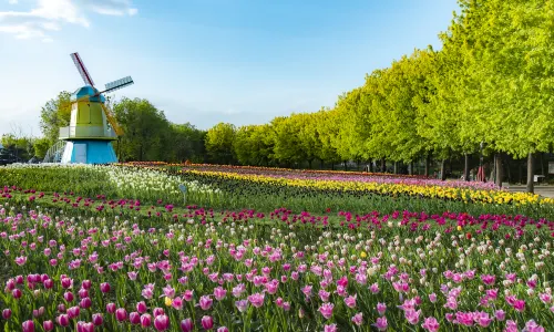 Beijing International Flower Port