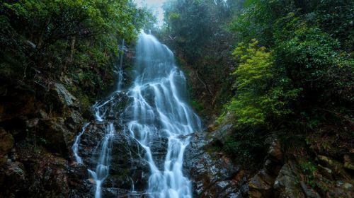 Yangling National Forest Park