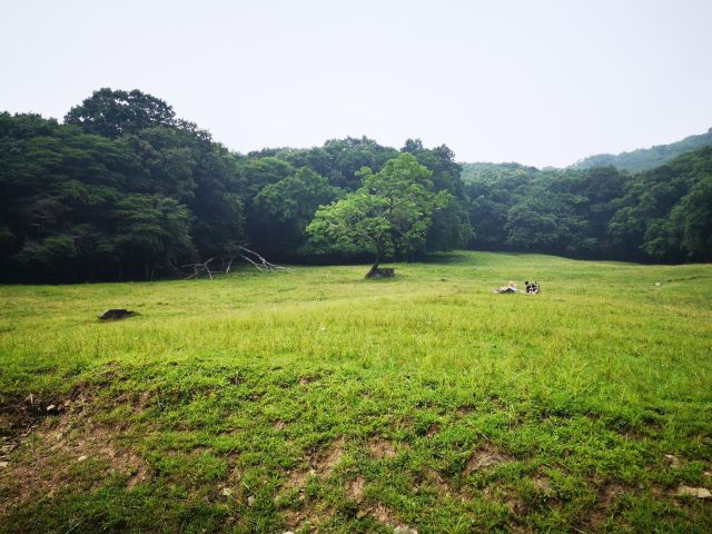 Pingshan Shenlu Tourist Area