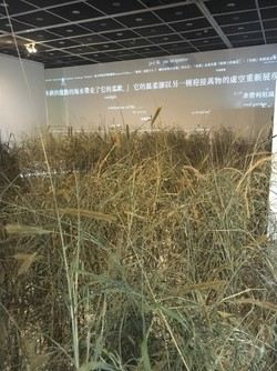 台北當代藝術館