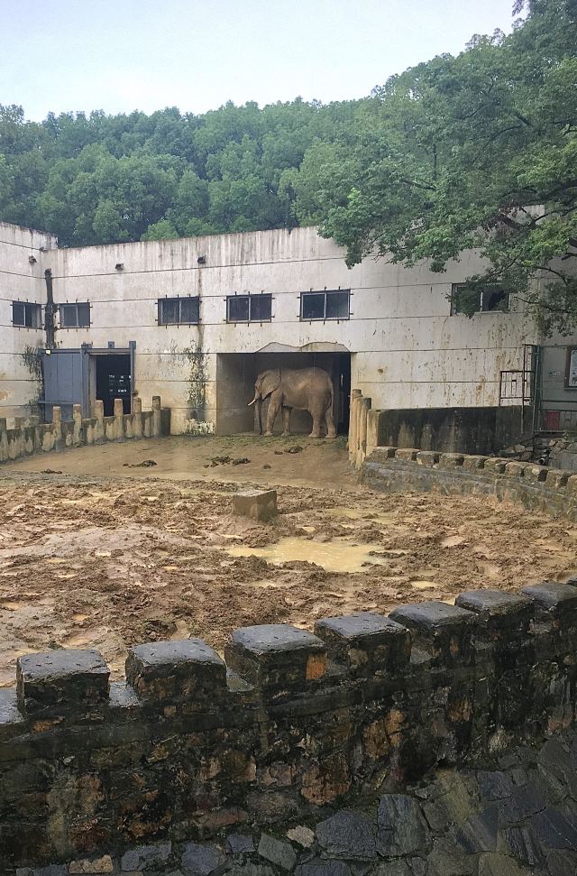 武漢動物園