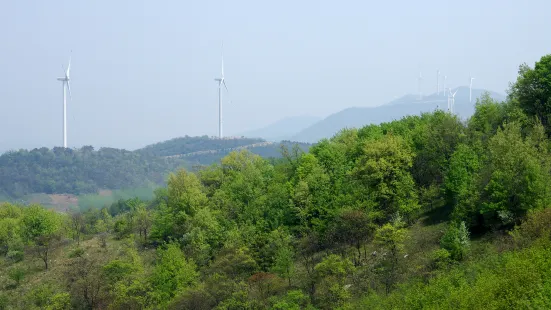 Bagong Mountain National Forest Park