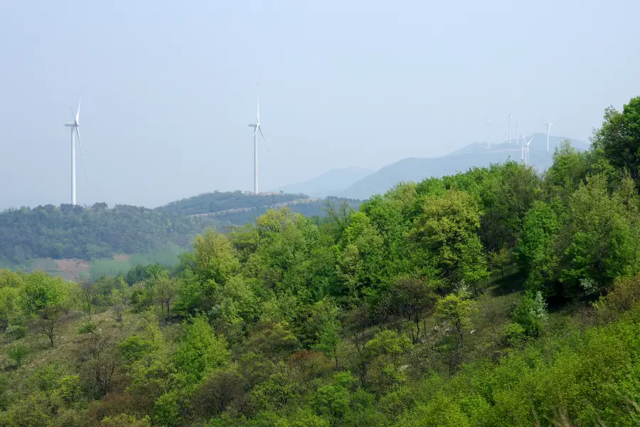 Bagong Mountain National Forest Park