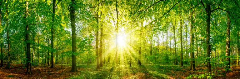 Бутик Отели в г. Чжуцзи