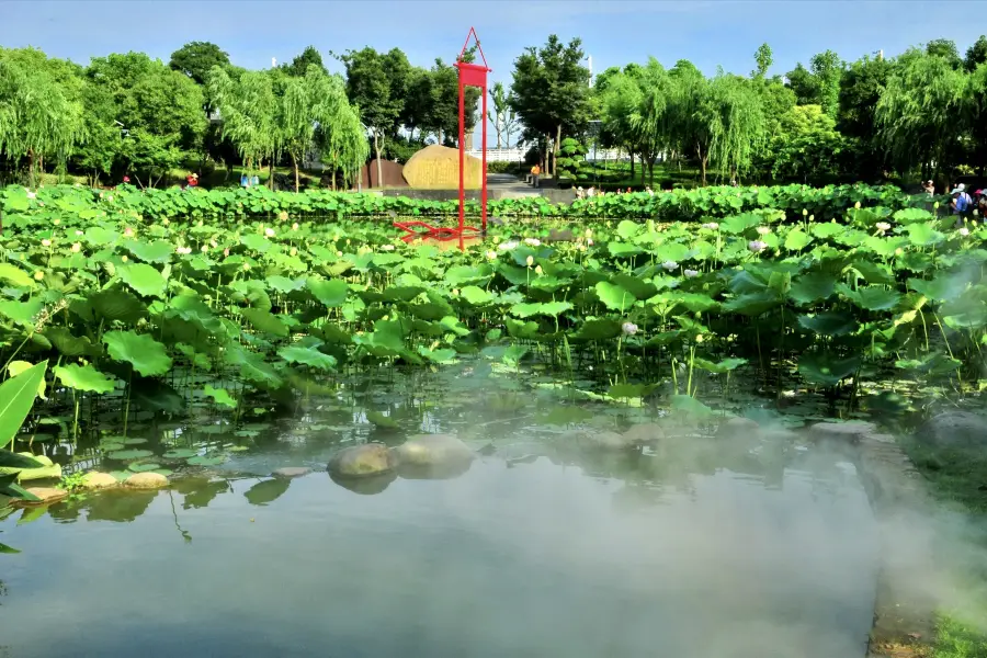 Chenjiashan Lotus Park