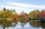 Central Park Zoo