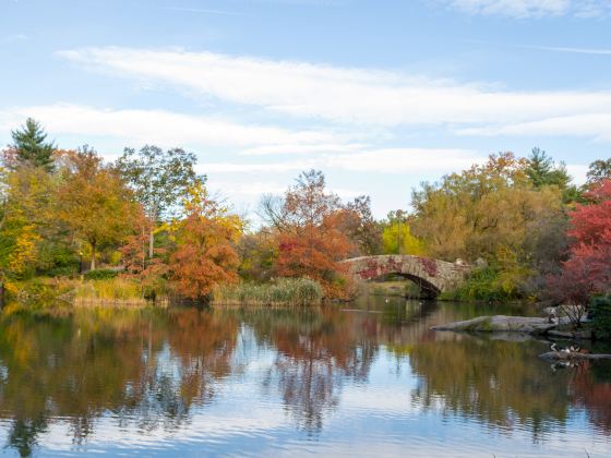 Central Park Zoo