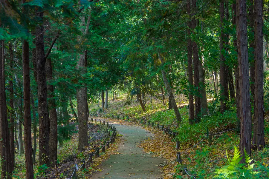 梅林山公園