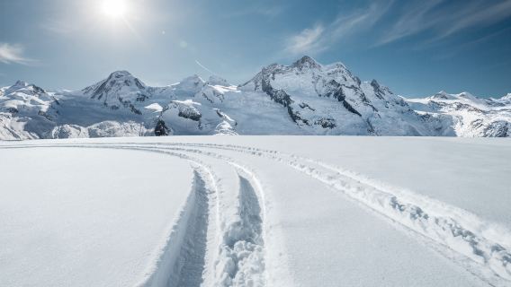 Iceland DC-3 Plane Wreck ATV Quad Bike Tour (Sólheimajökull Black Sand Beach)