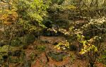 Jiufu Mountain Nature Reserve