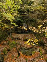 Jiufu Mountain Nature Reserve