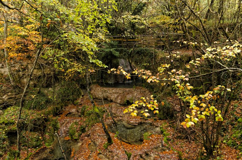 Jiufu Mountain Nature Reserve