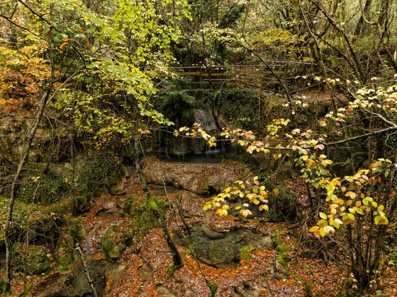 Jiufu Mountain Nature Reserve