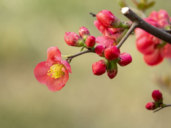 盤古村自然公園