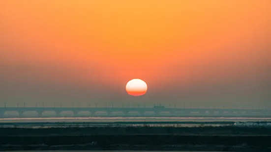 黃河大橋