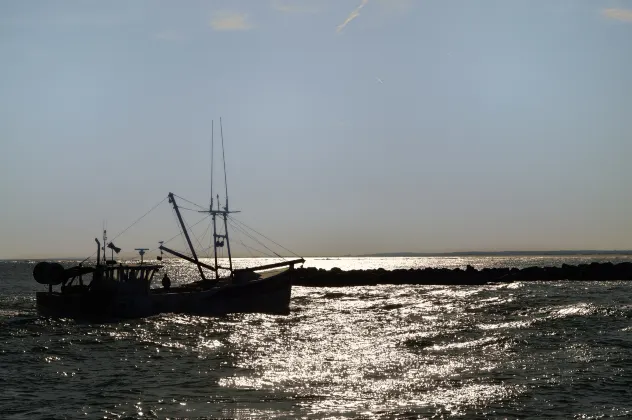 Разрешено размещения с домашними животными Отели в г. Бар-Харбор
