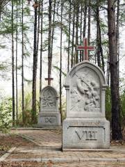 Mount of Our Lady of Lourdes