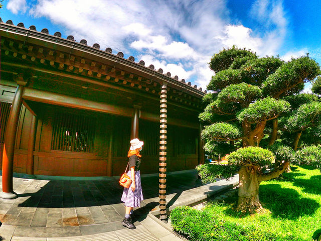 【去咗京都金閣寺！？其實係南蓮池園】#我好挂住！
