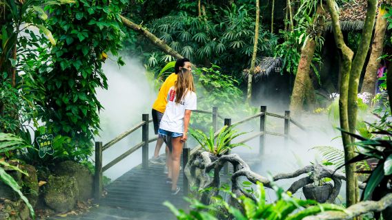 Rainforest Valley Scenic Area