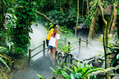 Rainforest Valley Scenic Area