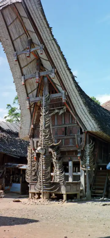 Hostels in South Sulawesi, Indonesia