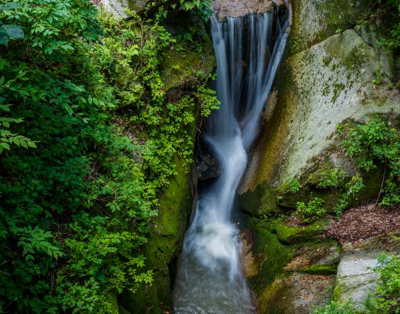 金泉市 自由行套票