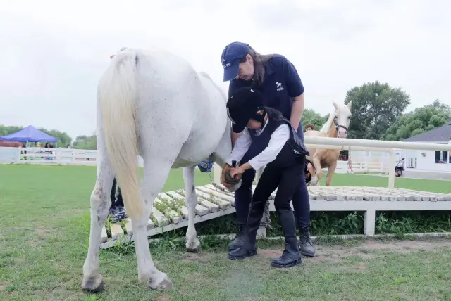Horse Riding in Changchun