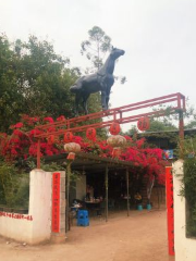 Condor Horse-riding Yard