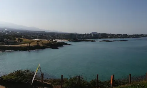함덕해수욕장 잔디공원