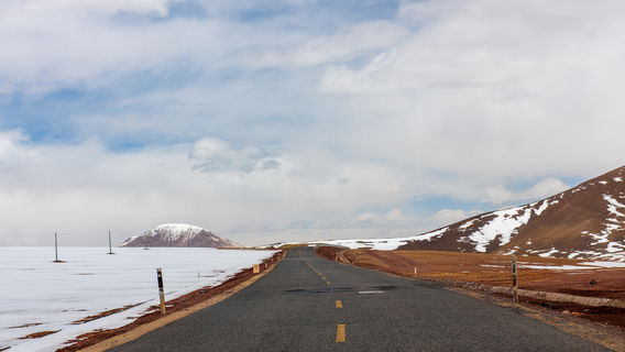 Ngari