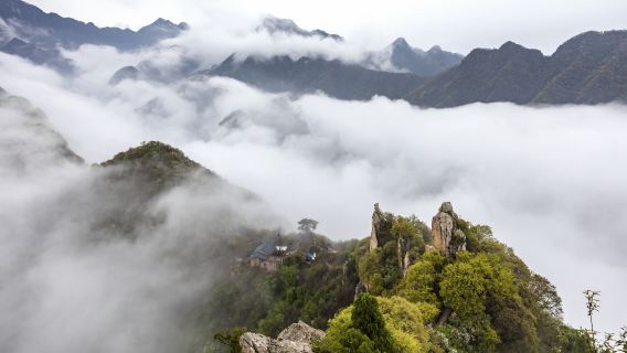 LantianTours