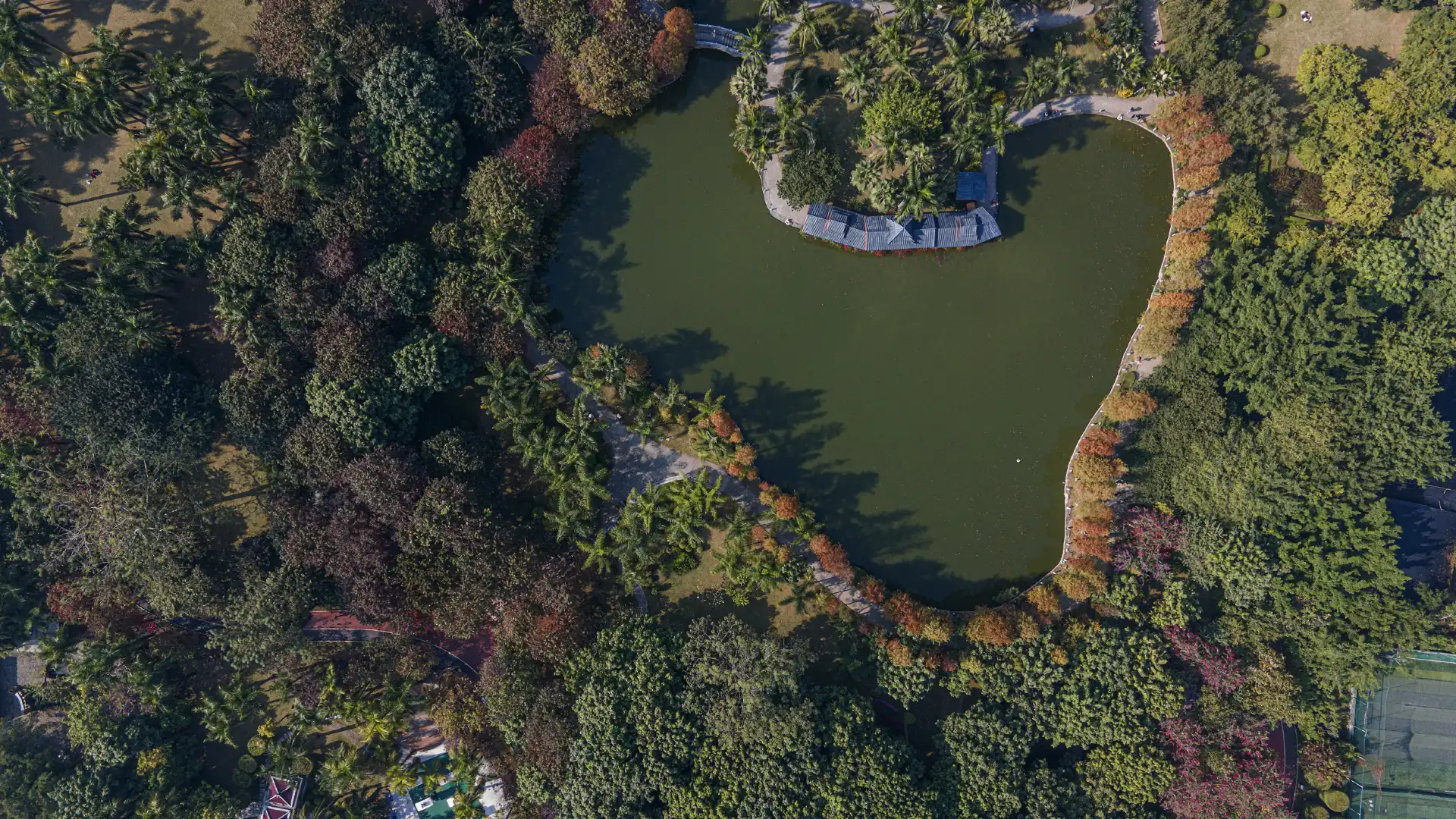 金花茶公園周辺のホテル