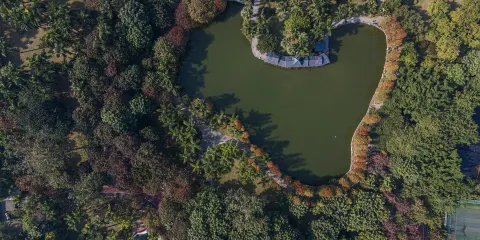 廣西壯族自治區南寧市金花茶公園