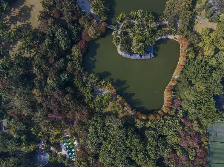 Các khách sạn gần Camellia Park