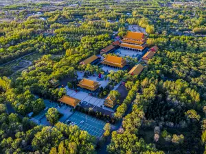 구청 사원
