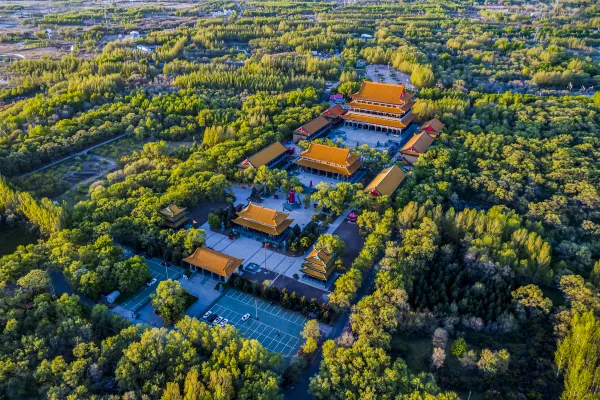 天馬航空 飛 大慶