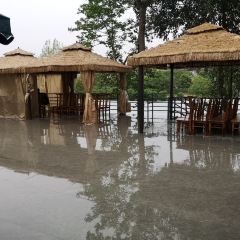 刘二姐休闲农庄·柴火鸡 User Photo