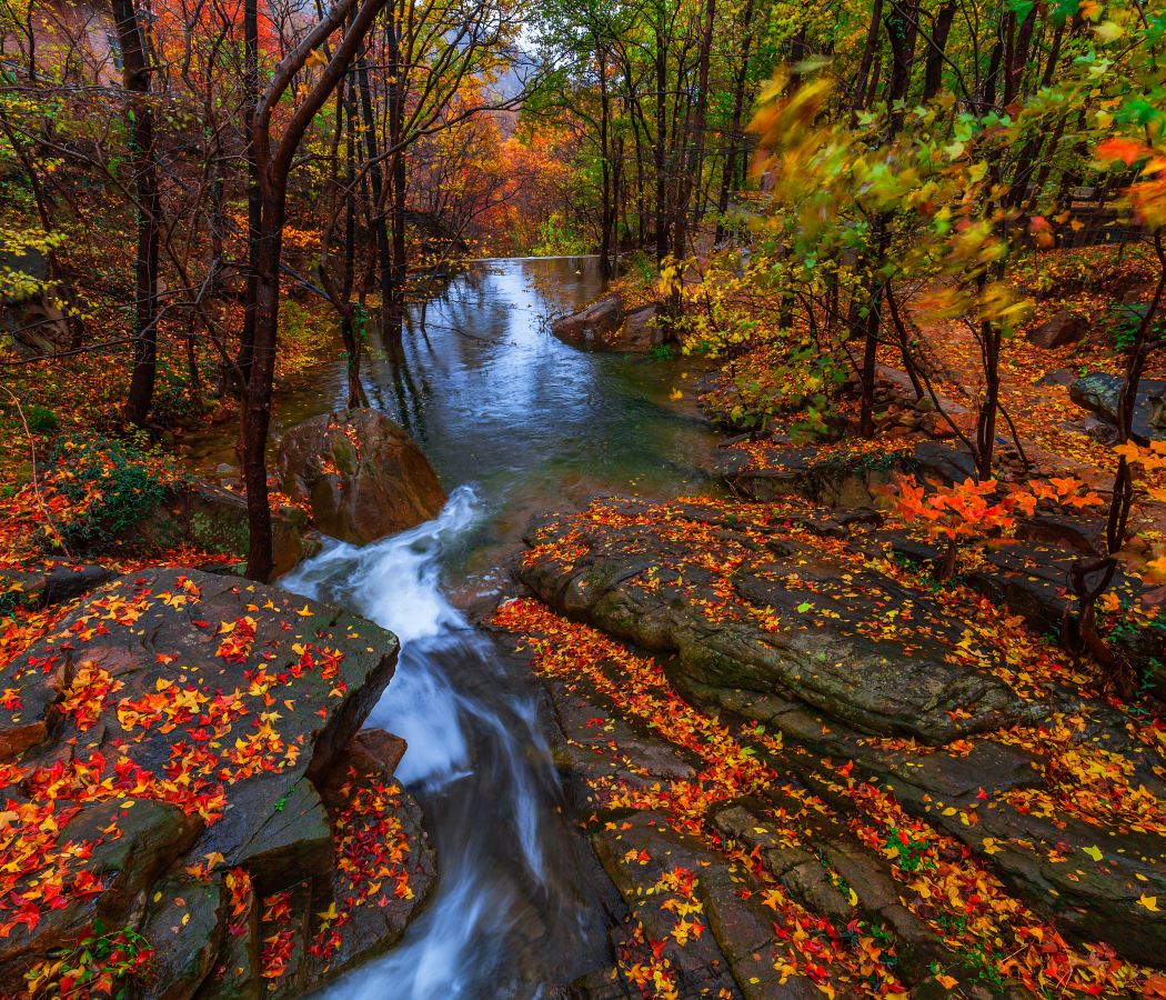 해안 리조트