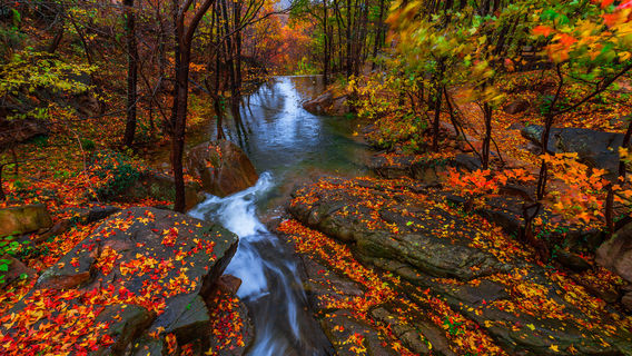 Fengshuwan Leisure Center